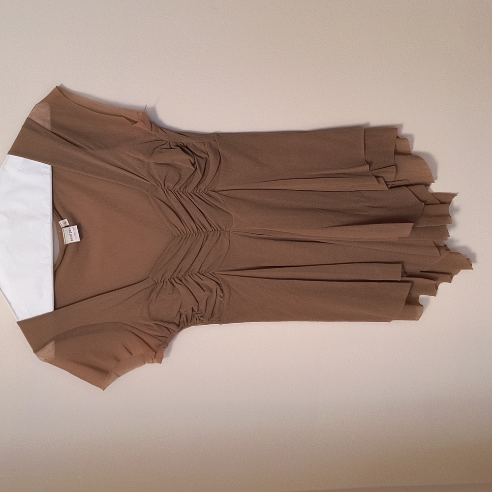 Brown Top